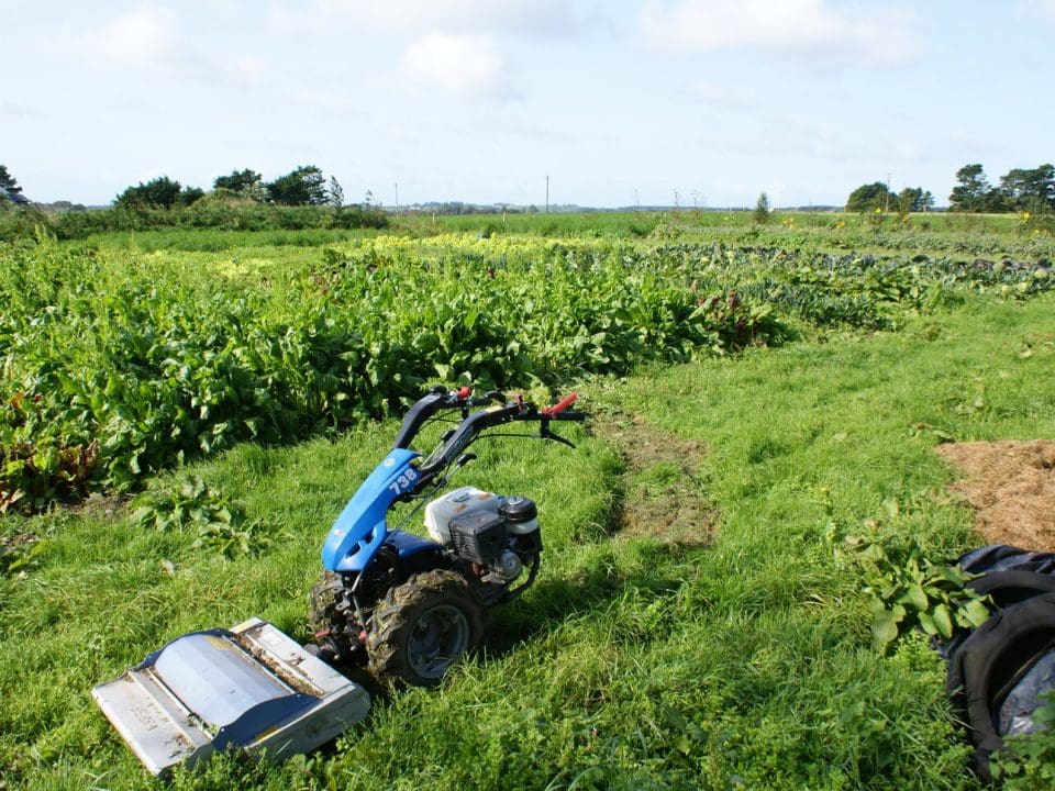 Organic Farming Scheme